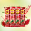 Metabolism Boost Tablets | Green Tea & Apple Cider Vinegar - Watermelon Flavor (Pack of 4 tubes)